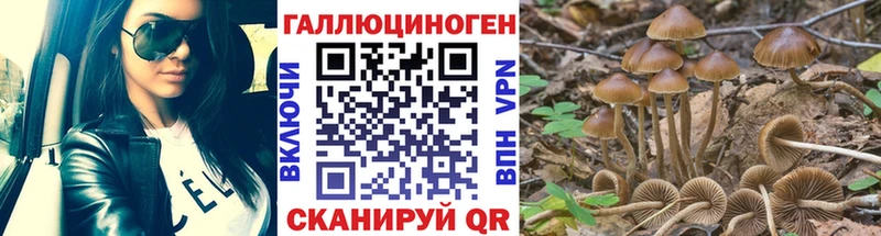 Галлюциногенные грибы прущие грибы Каргат