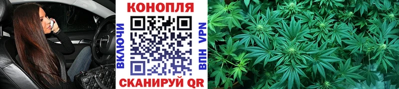 МАРИХУАНА план  Каргат 